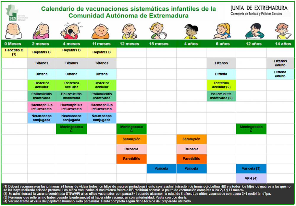 Calendario vacunaciones. Servicio Extremeño de Salud. Junta Extremadura
